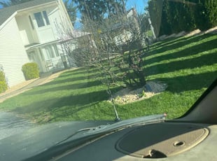 Diane O.'s lawn care services service result