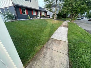 Tony K.'s grass maintenance service result
