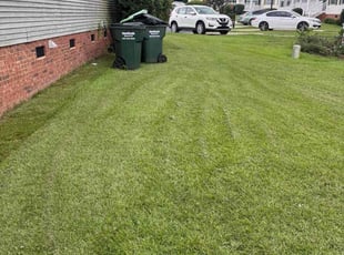 Teresa F.'s grass cutting service result