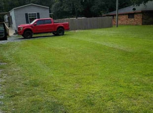 Librada L.'s grass cutting service result