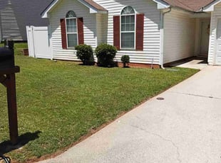 Tanner D.'s grass maintenance service result