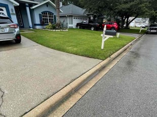 Mr D.'s grass maintenance service result