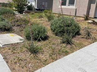 James K.'s lawn care service result
