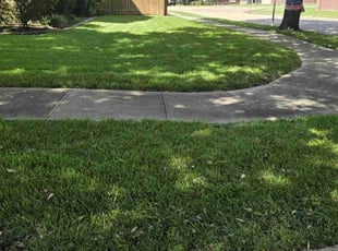 Neil P.'s lawn care services service result