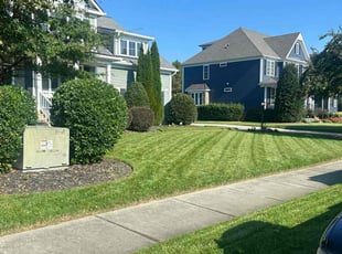 James B.'s turf maintenance service result