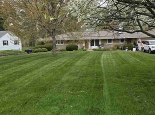 David P.'s lawn care service result