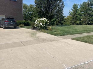 Bill T.'s yard maintenance service result