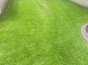 Justin A.'s grass cutting service result