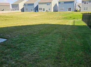 Rudolph D.'s lawn service service result