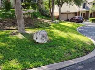 Newman W.'s grass cutting service result