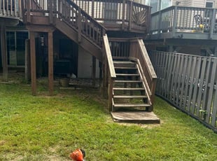 Lisa P.'s turf maintenance service result