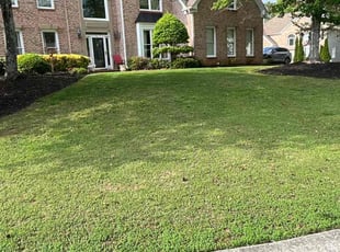 Tammy S.'s grass maintenance service result