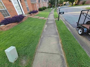 Craig J.'s lawn maintenance service result