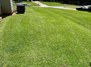 Rasheeda C.'s lawn care service result