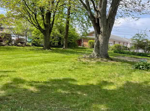 Christian D.'s grass maintenance service result