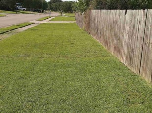 Jennifer D.'s grass maintenance service result