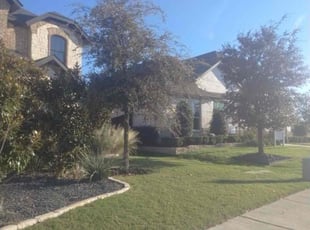 Michelle R.'s lawn service service result