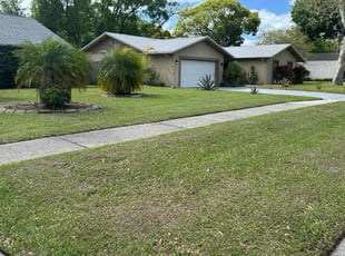 Amanda K.'s grass cutting service result