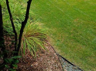 Tim K.'s turf maintenance service result