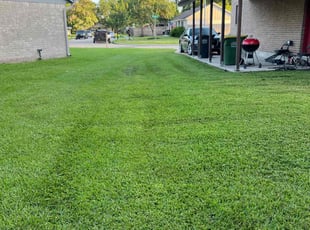 Jessica A.'s lawn maintenance service result