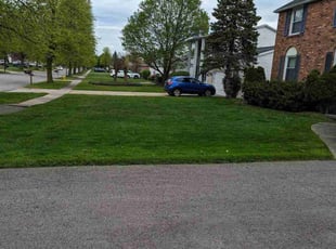 Sanjeda M.'s grass cutting service result