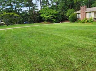 Bonita W.'s turf care service result