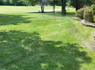 Demetri M.'s lawn care services service result