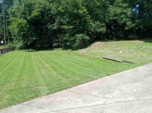 Diana V.'s lawn service service result
