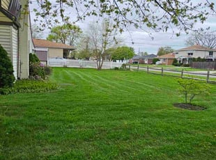 M M.'s lawn service service result