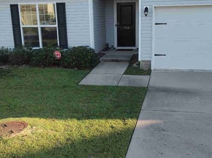 Terry H.'s turf care service result