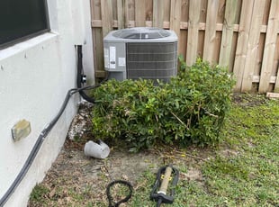 William T.'s Bush Trimming service result