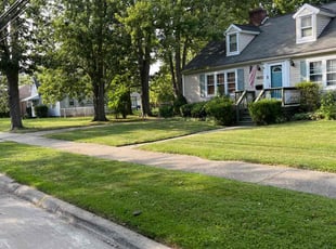 Lavernia H.'s lawn care services service result