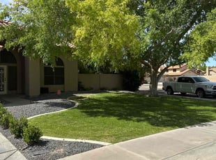 Cassandra E.'s lawn service service result