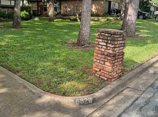 Fred P.'s lawn care service result