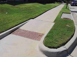 Hannah F.'s lawn care service result