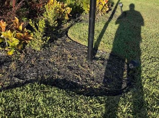 Debra P.'s lawn maintenance service result