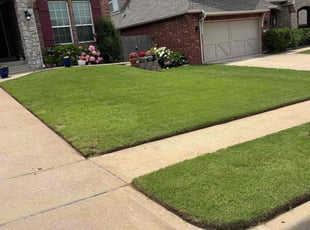 Michael G.'s yard care service result
