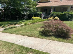 Henry B.'s lawn service service result