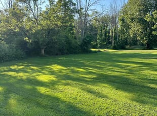 Greg H.'s lawn care service result