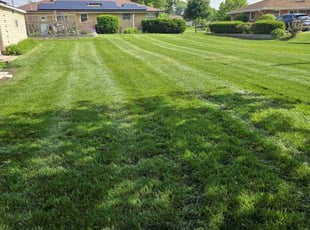 Jonathan W.'s turf maintenance service result
