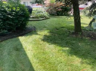 Samuel J.'s turf maintenance service result