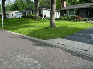 Linda L.'s grass maintenance service result