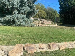 Amber W.'s lawn care service result