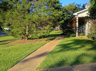 Ecedra M.'s lawn care services service result
