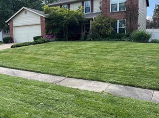 Shannon D.'s lawn care service result