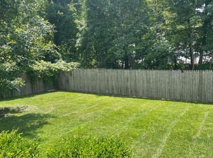 Deranda N.'s residential landscaping service result
