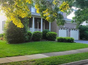 Sajjad I.'s grass cutting service result