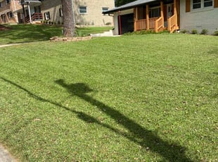 Mary R.'s Long Grass Cleanup service result