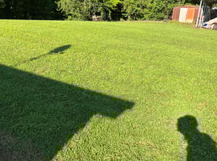 Matt H.'s lawn service service result