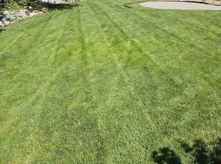 Jon S.'s lawn service service result